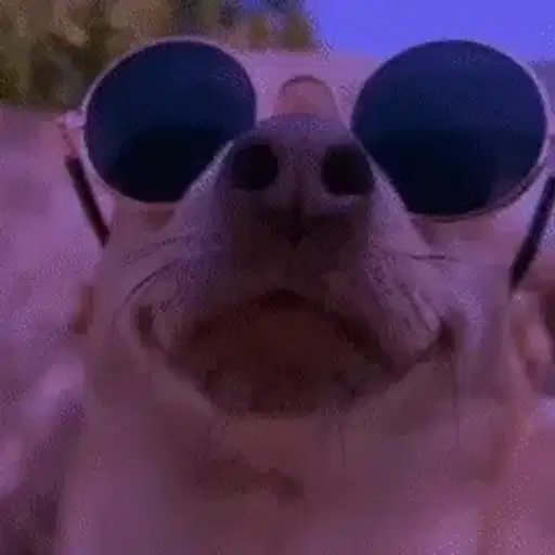 Figurinha: Cachorro de Óculos com Luzes Piscando
