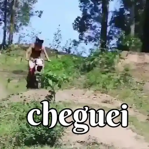 Figurinha: Motoqueiro em Ação