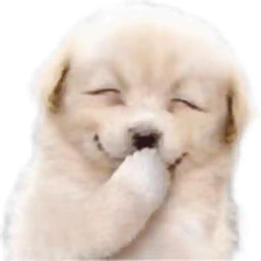 Figurinha: Cachorrinho Rindo
