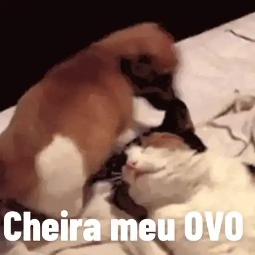 Figurinha: Cachorro provoca gato