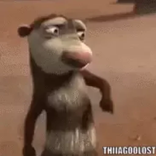 Figurinha: Esquilo Dançando Estiloso