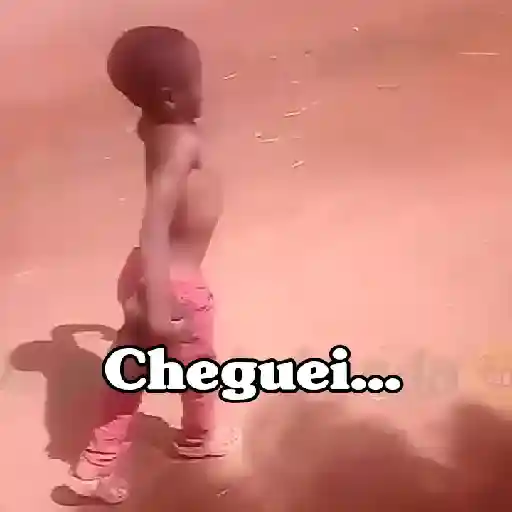 Figurinha: Cheguei na Vibe