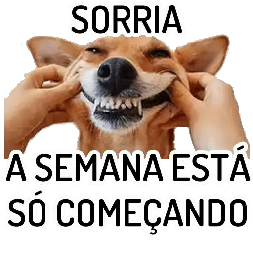 Figurinha: Cachorro Sorrindo "A Semana Começando"