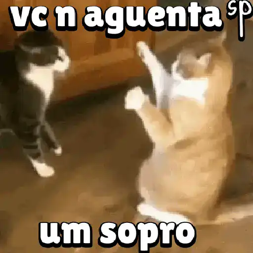 Figurinha: Gatinhos lutando com sopro