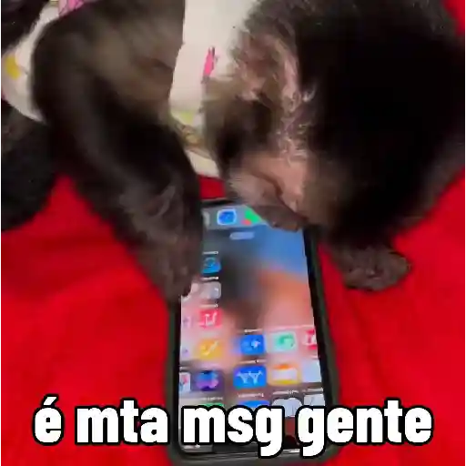 Figurinha: Macaco estressado com mensagens