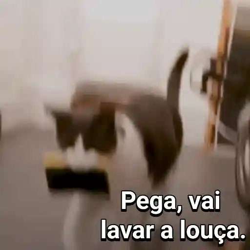 Figurinha: Gato pega esponja para lavar louça