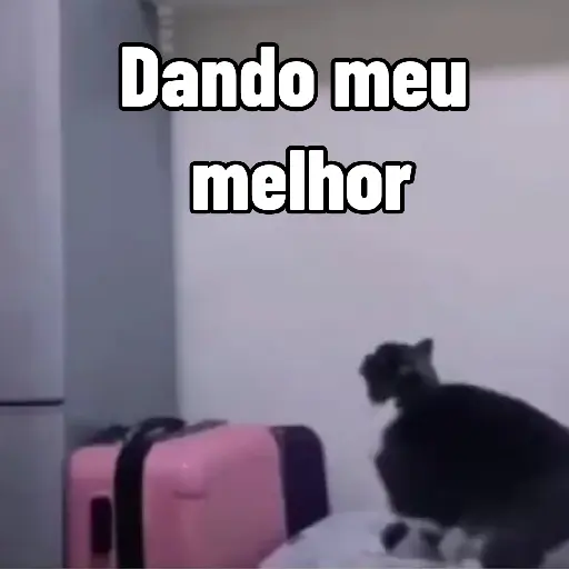 Figurinha: Gato dançando na mala