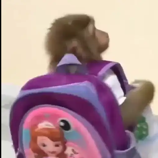 Figurinha: Macaco com mochila da Sofia