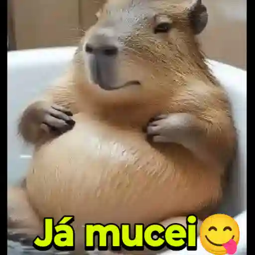Figurinha: Capivara Relaxando