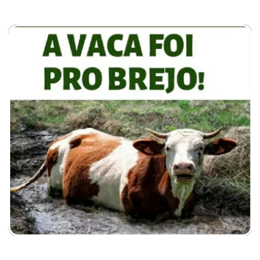Figurinha: Vaca presa no brejo