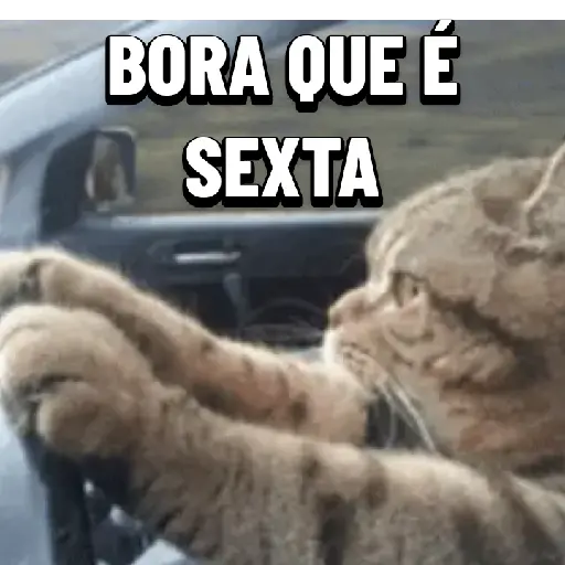 Figurinha: Gato motorista dirigindo