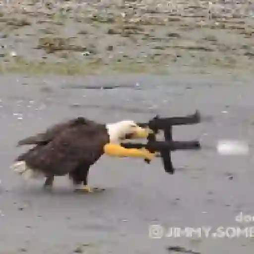 Figurinha: Águia Atirando com Duas Armas