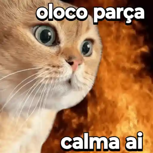 Figurinha: Gato em chamas: "Oloco, parça!"