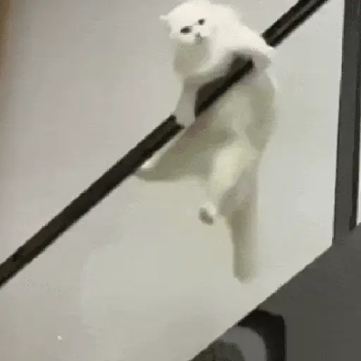 Figurinha: Gato se segurando