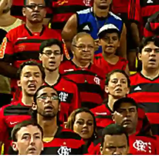 Figurinha: Torcida Rubro-Negra em Festa