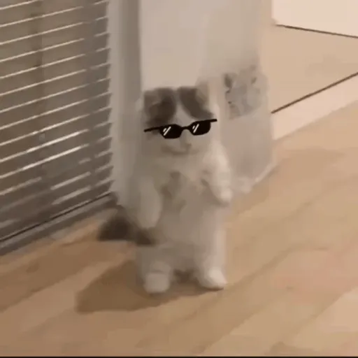 Figurinha: Gatinho Estiloso