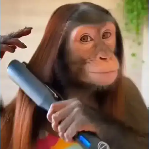 Figurinha: Macaco passando chapinha