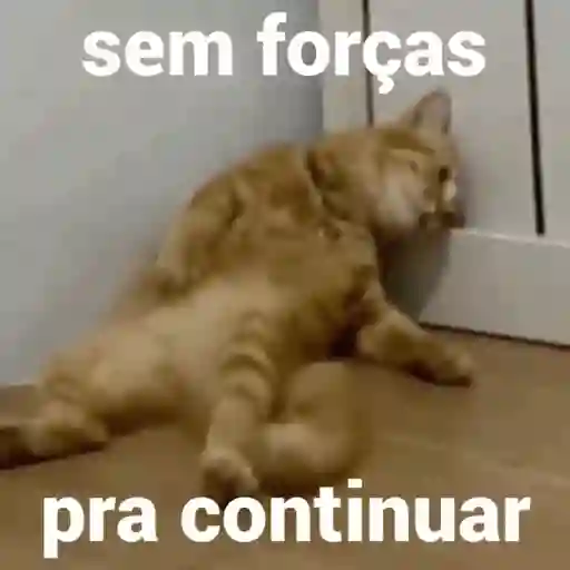 Figurinha: Gato Sem Forças
