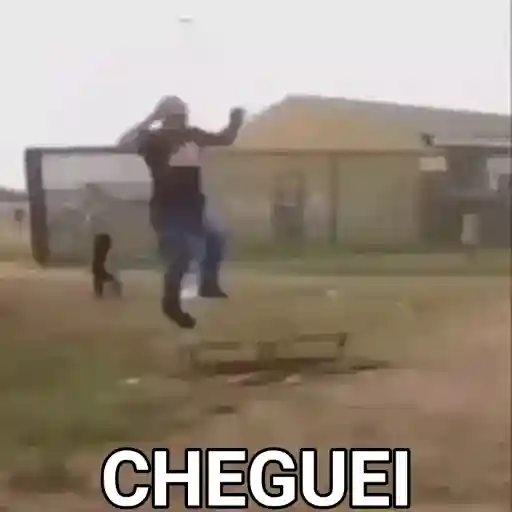 Figurinha: Cheguei com tudo!
