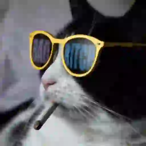 Figurinha: Gato Bad Bitch de Óculos