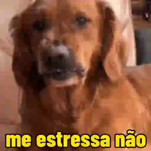 Figurinha: Cachorro: me estressa não