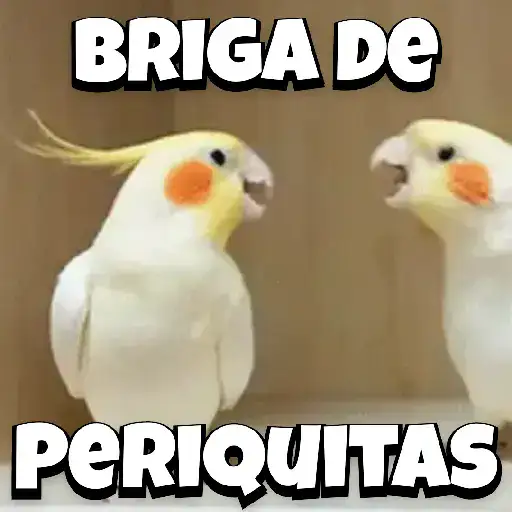 Figurinha: Briga de Periquitas