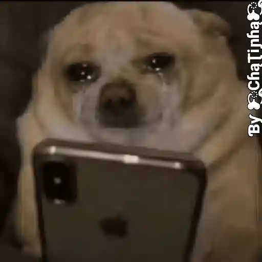 Figurinha: Cachorro chorando no celular