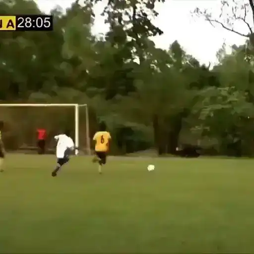 Figurinha: Jogador de futebol cai em campo