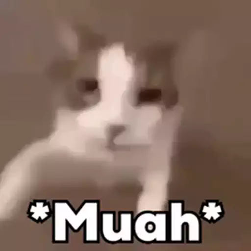 Figurinha: Gato mandando beijo