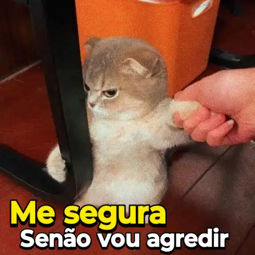 Figurinha: Gatinho bravo ameaça agredir
