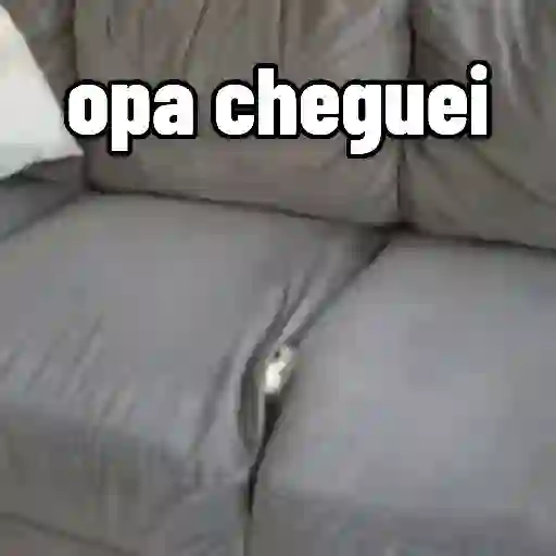 Figurinha: Gatinho Chegando do Sofá