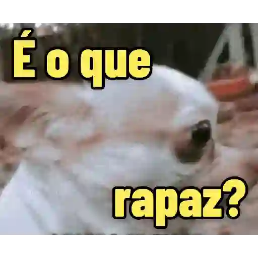 Figurinha: Cachorro surpreso 'É o que, rapaz?'
