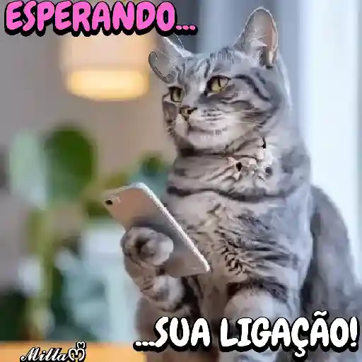 Figurinha: Gato esperando ligação
