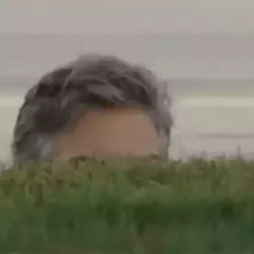 Figurinha: Olhar por cima da grama