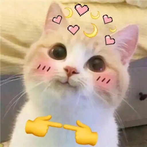 Figurinha: Gatinho Tímido com Corações e Luas