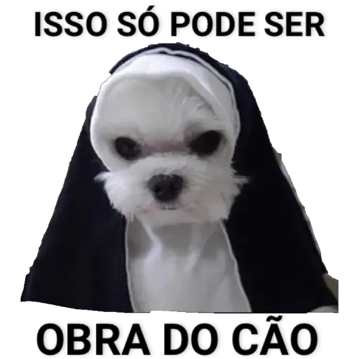 Figurinha: Cachorro Freira Dançando