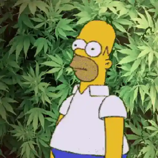 Figurinha: Homer se esconde na maconha