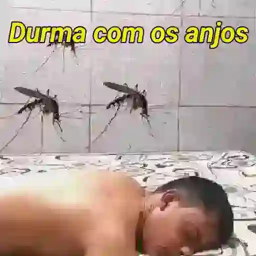 Figurinha: Mosquitos invadindo um sono tranquilo