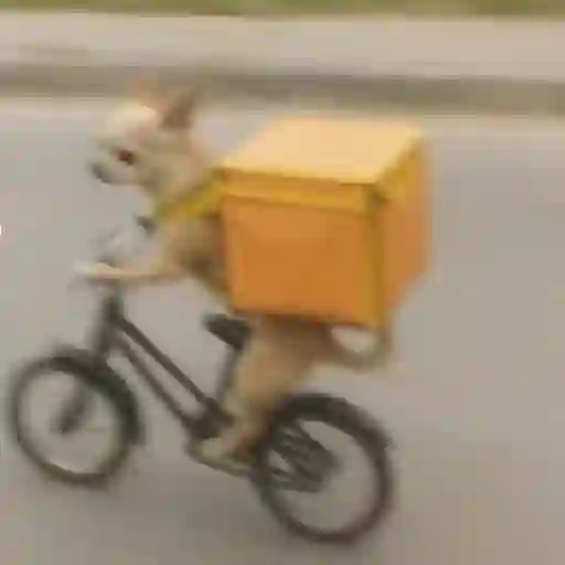 Figurinha: Cachorro entregador de bicicleta