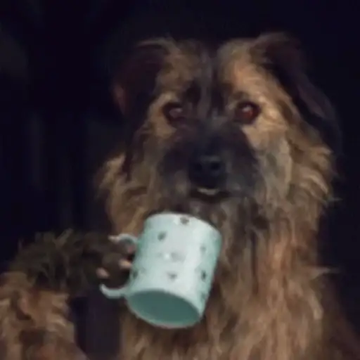 Figurinha: Cachorro bebendo café