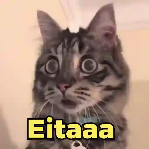Figurinha: Gato Surpreso com "Eitaaa"