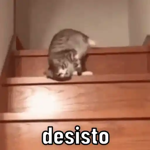 Figurinha: Gato Desiste de Subir Escada