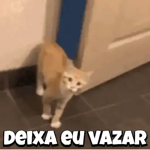 Figurinha: Gato Fuga