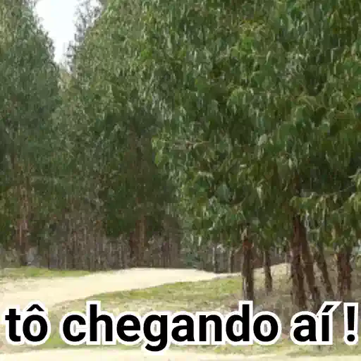 Figurinha: Carro Correndo na Poeira