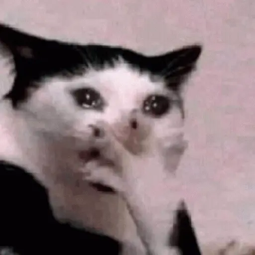 Figurinha: Gato Chorando Pensativo