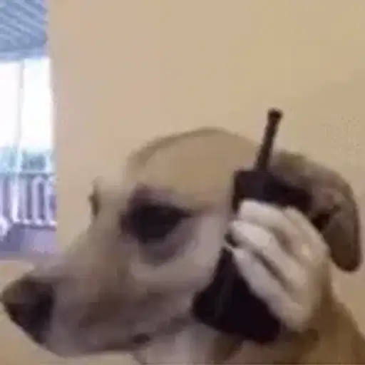 Figurinha: Cachorro no telefone