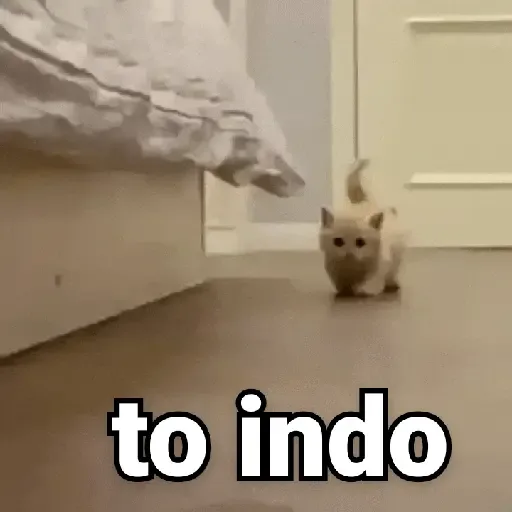 Figurinha: Gatinho fofo caminhando "to indo"