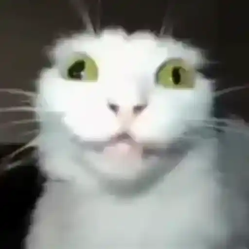 Figurinha: Gato assustado digitalizado