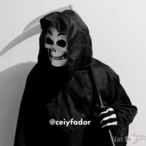 Figurinha: Ceiyfador