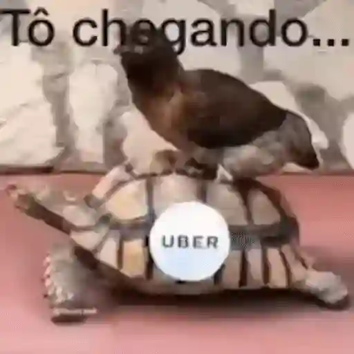 Figurinha: Tartaruga com Uber